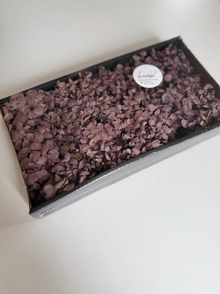 Hortensie konserviert Mauve Packung