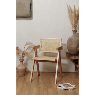 Beliebter Chandigarh -Stuhl - Stil Pierre Jeanneret - Holz und Rattan - hohe Qualität - klar oder Walnuss