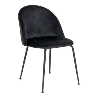 2er Set Esszimmerstühle Geneve – Schwarzer Samtstuhl mit Metallbeinen | Modern & Elegant