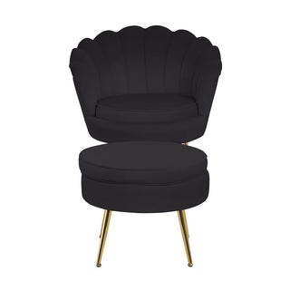 Muschel-Sessel – Eleganter Samtsessel mit vergoldetem Metallgestell in Schwarz-Gold