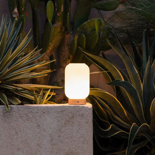 Einzigartige wiederaufladbare Lilly-Lampe – Milchglas und Holzsockel, dimmbar, 3 Lichtmodi