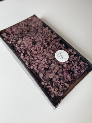 Hortensie konserviert Mauve Packung