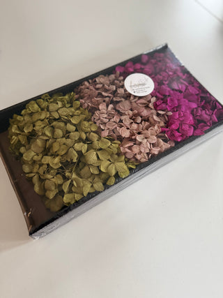 Hortensie konserviert Merlot, Erika und Basilikum Mix Packung