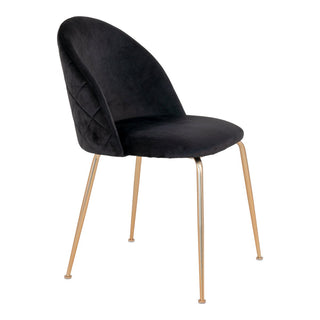 2er Set Esszimmerstühle Geneve – Schwarzer Samt mit Beinen in Messingoptik | Elegantes Design