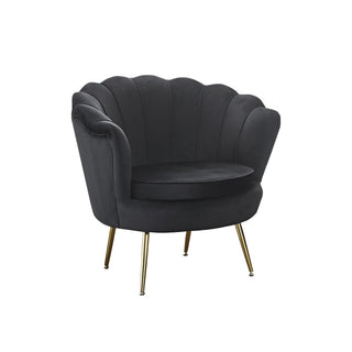 Muschel-Sessel – Eleganter Samtsessel mit vergoldetem Metallgestell in Schwarz-Gold