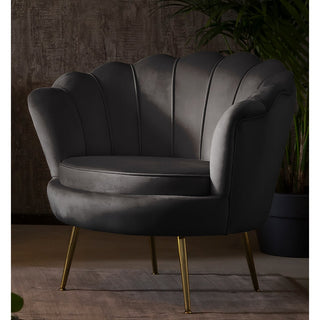 Muschel-Sessel – Eleganter Samtsessel mit vergoldetem Metallgestell in Schwarz-Gold