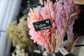 WARUM TROCKENBLUMEN- Was sind die Vorteile?