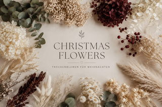 Christmas Flowers – Trockenblumen für Weihnachten