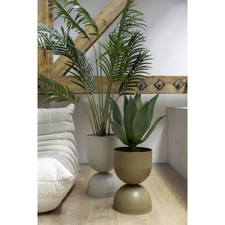 Moderne Blumentöpfe – Design Pflanztöpfe