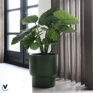 Blumentopf groß grün – Moderner Pflanztopf Outdoor & Indoor, Fiberstone Pflanzkübel, Bodenvase modern für Wohnzimmer & Garten