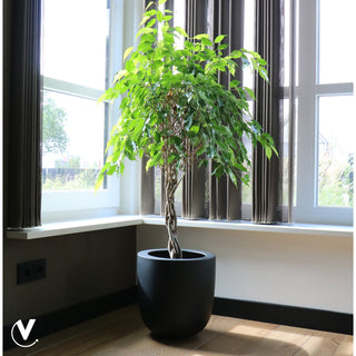 Fiberstone Blumentopf Mittel – Schwarz | Handgefertigter Pflanztopf für Innen & Außen von Vase The World