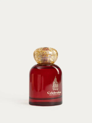 Duftdiffusor | CELEBRATION | Festliche Beere | 200 ml