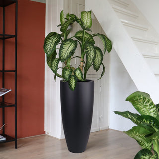 Fiberstone Pflanztopf Kentucky Schwarz – Indoor & Outdoor Design-Blumentopf | Vase The World (Ø47 H100 / Ø36,5 H80)