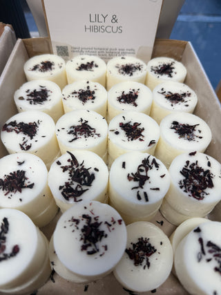 Wachsmelts verschiedene Sorten