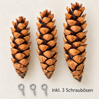 Große Naturzapfen im 3er-Set inkl. Schraubösen | ca. 18–24 cm