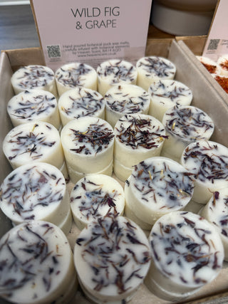 Wachsmelts verschiedene Sorten