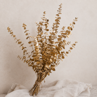 Getrockneter Eukalyptus Gold – Trockenblumen für Advent & Weihnachten