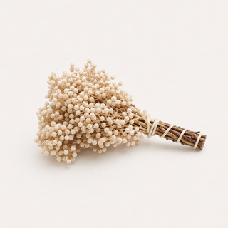 Getrocknete Pepperberries – Bleached | Creme