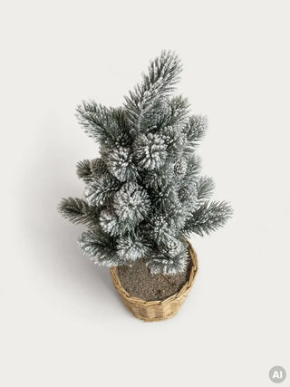Weihnachtsbaum | ATTIS | schneebedeckt in einem Rattan-Topf