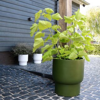 Blumentopf groß grün – Moderner Pflanztopf Outdoor & Indoor, Fiberstone Pflanzkübel, Bodenvase modern für Wohnzimmer & Garten