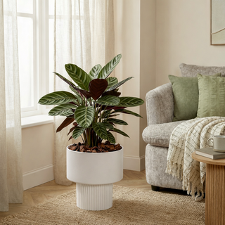 Mica Decorations Lux Blumentopf Ø31,5 cm – Großer Metall Blumentopf in Gebrochenem Weiß, Moderner Pflanztopf für Wohnzimmer & Interior