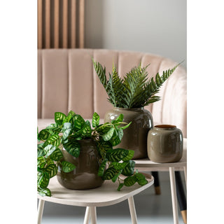 Vase Ivy Medium