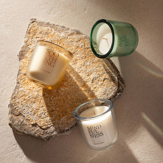 ZEN RITUAL Duftkerze im Glas – warme Holznoten · 240 g